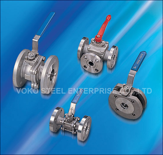 VALVE-FLANGED END